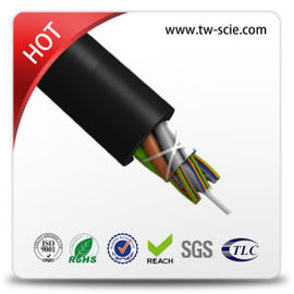 Cáp Ethernet sợi quang bọc thép ngoài trời đa lõi GYFTY-FS